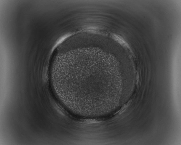 X0000083580392200703021821