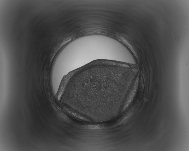 X0000083580394200703021821