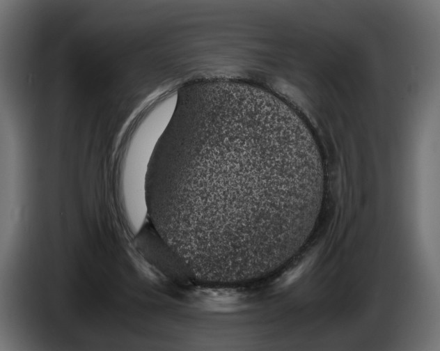 X0000083580395200703021821