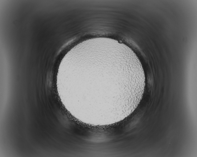 X0000083580396200703021821