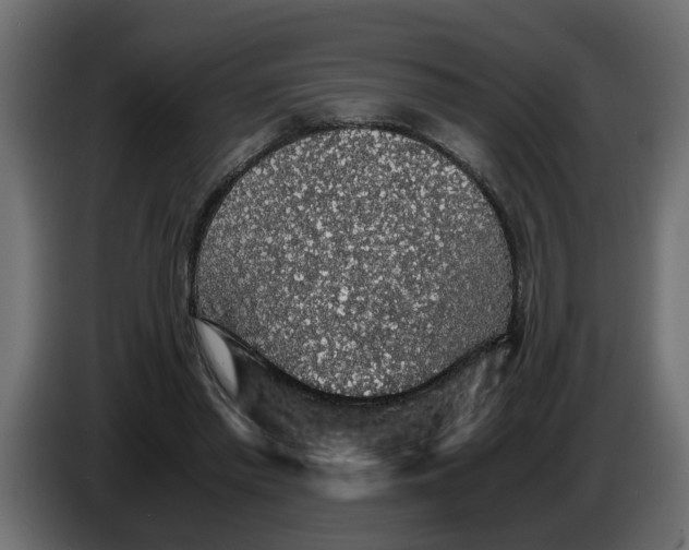 X0000083580397200703021821