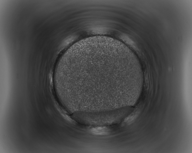 X0000083580398200703021821