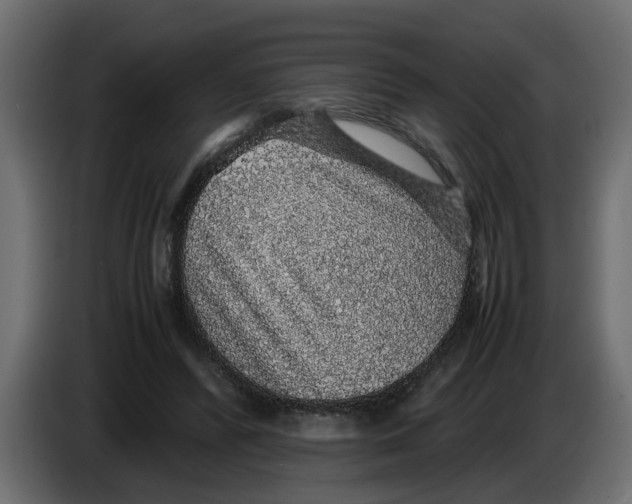 X0000083580400200703021821