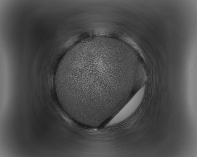 X0000083580401200703021821