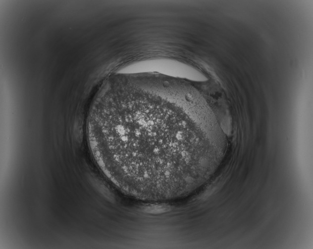 X0000083580402200703021821