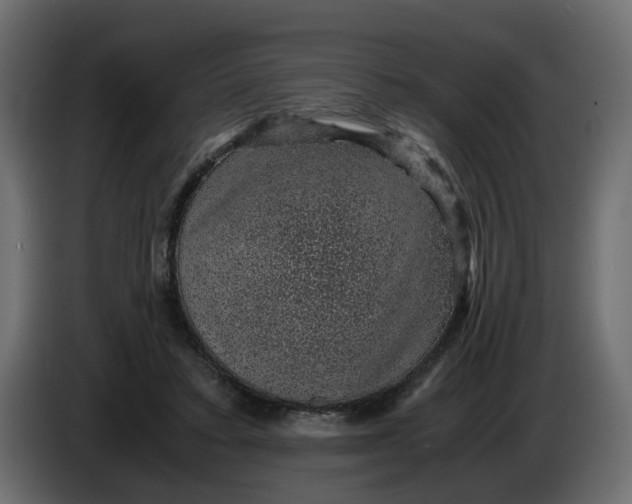 X0000083580403200703021821