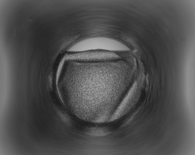 X0000083580404200703021821