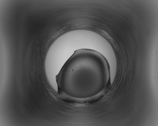 X0000083580405200703021821