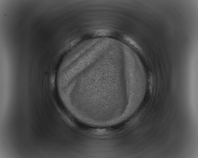 X0000083580406200703021821