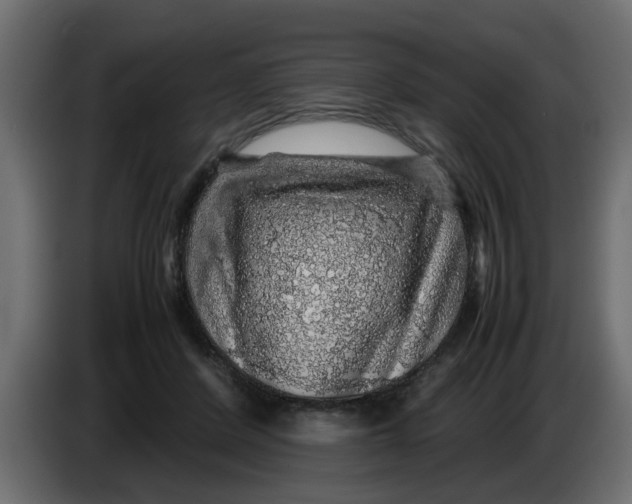 X0000083580408200703021821