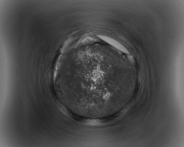 X0000083580409200703021821