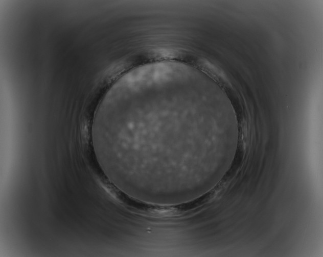 X0000083580410200703021821