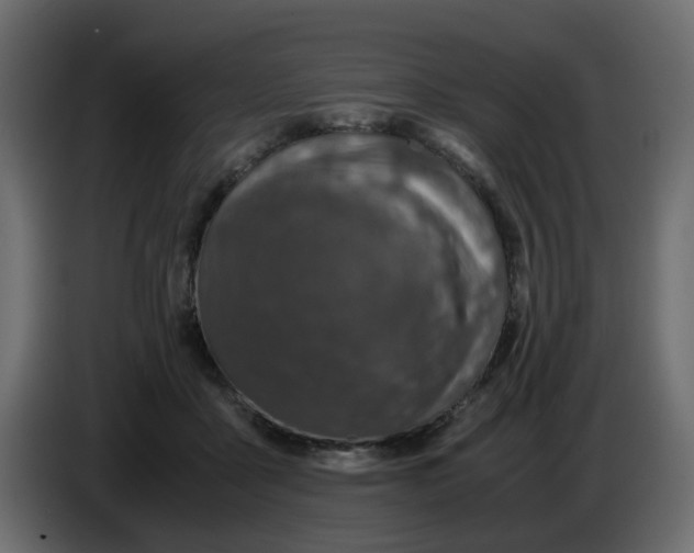 X0000083580411200703021821