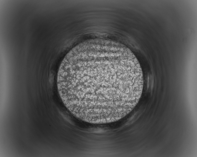 X0000083580412200703021821