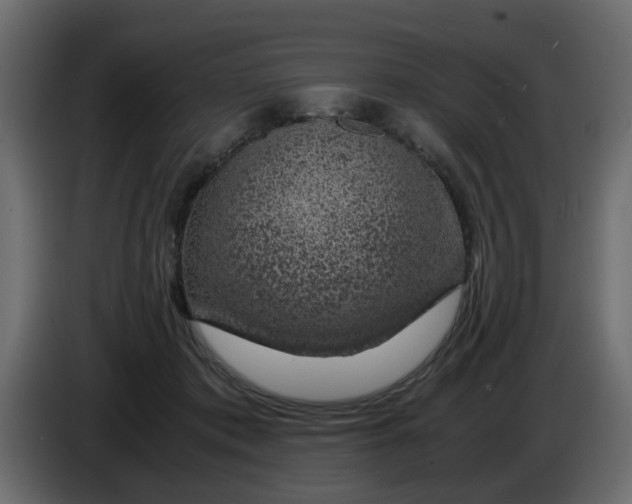 X0000083580413200703021821