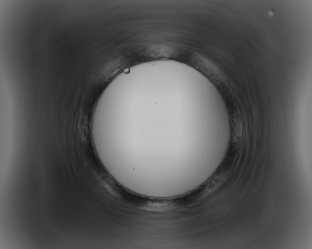 X0000083580414200703021821