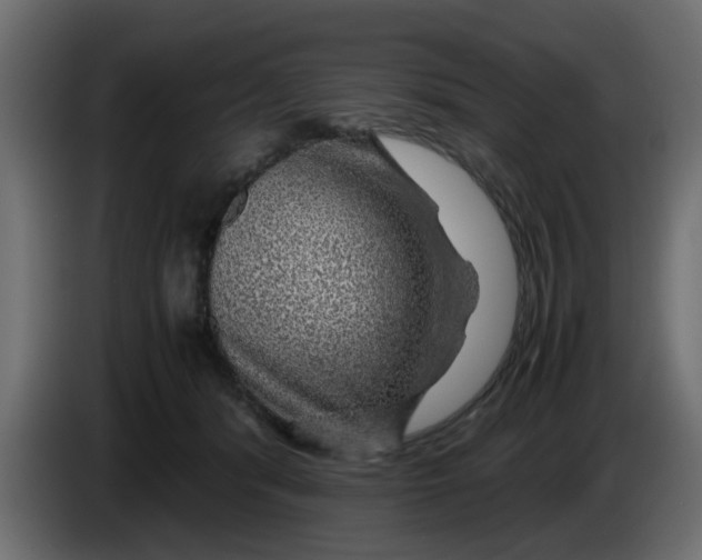 X0000083580416200703021821