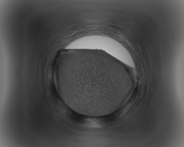 X0000083580417200703021821