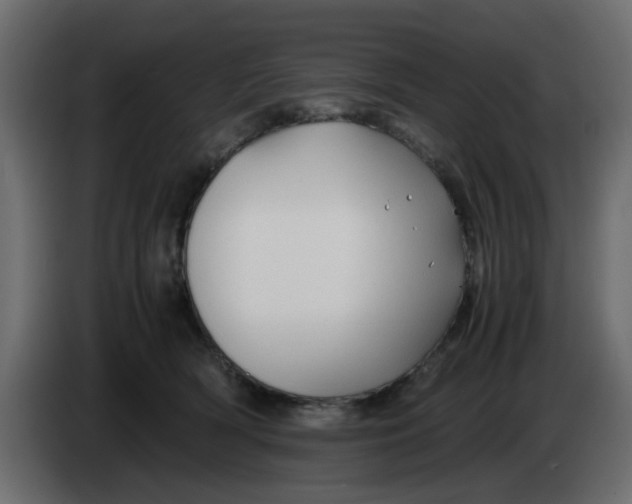 X0000083580418200703021821