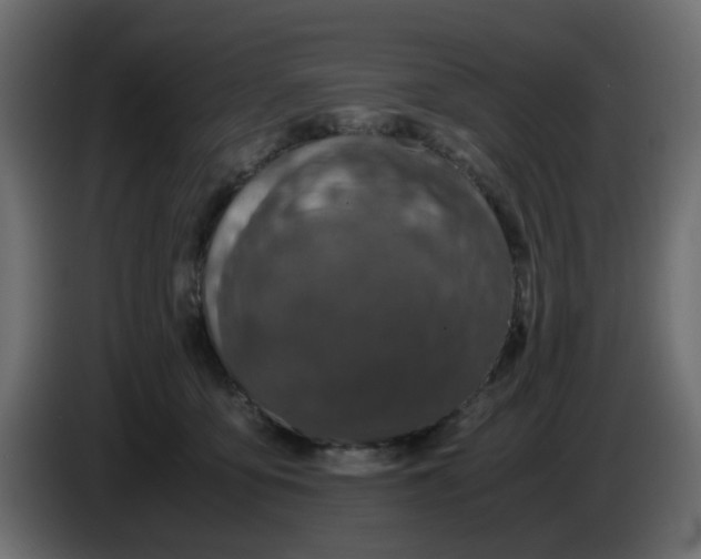 X0000083580419200703021821