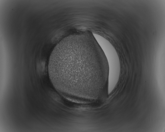 X0000083580420200703021821