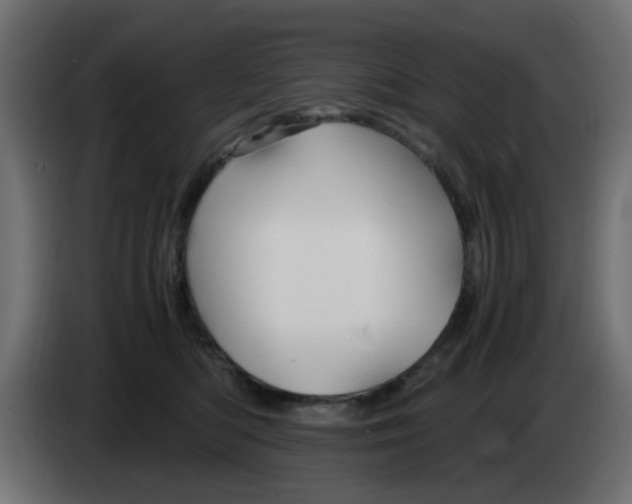 X0000083580422200703021821