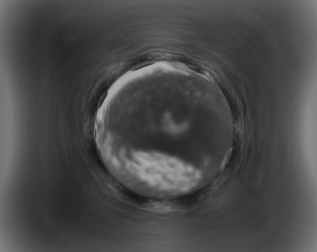 X0000083580423200703021821