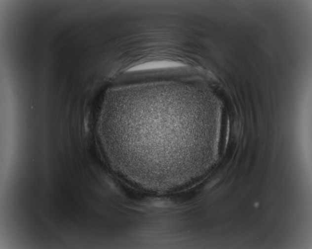 X0000083580424200703021821