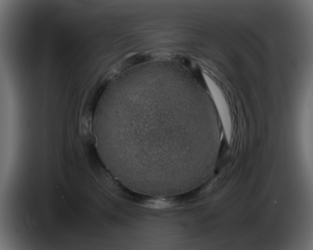 X0000083580425200703021821