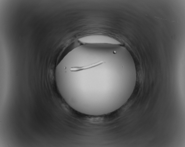 X0000083580426200703021821