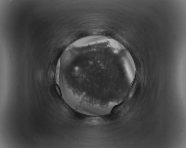 X0000083580427200703021821