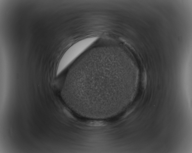 X0000083580428200703021821