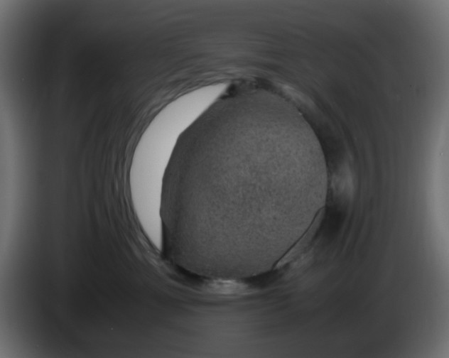 X0000083580429200703021821