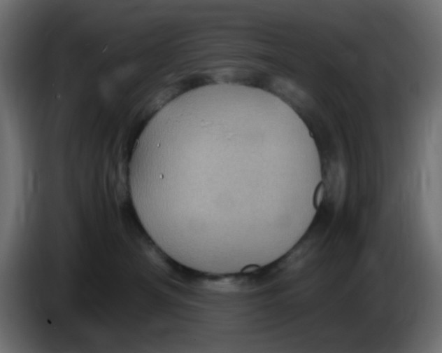 X0000083580430200703021821