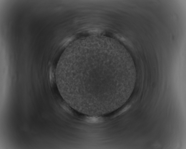 X0000083580432200703021821