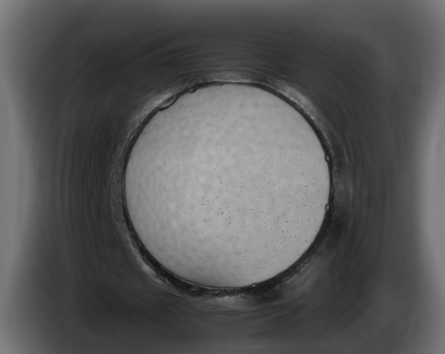 X0000083580433200703021820