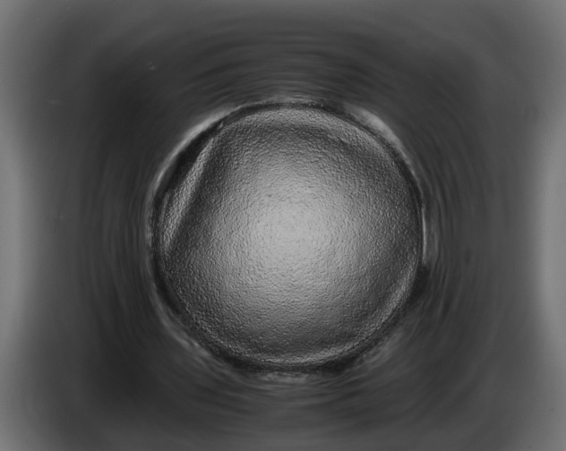 X0000083580435200703021820