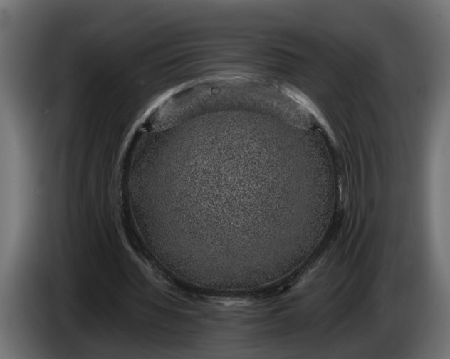 X0000083580436200703021820