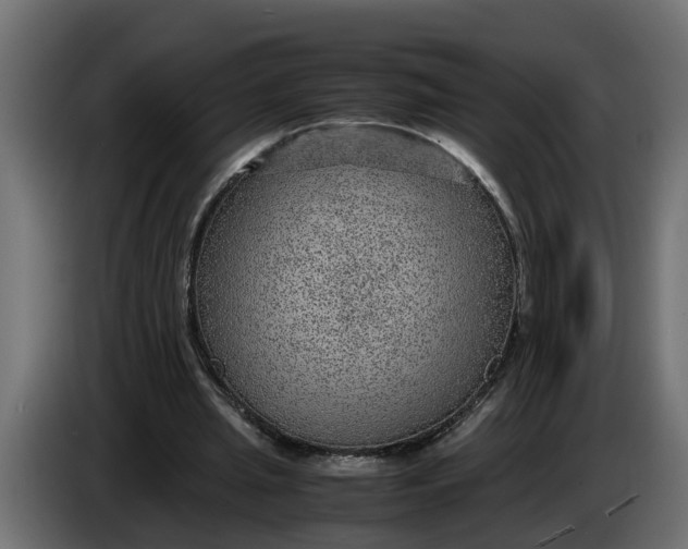 X0000083580437200703021820