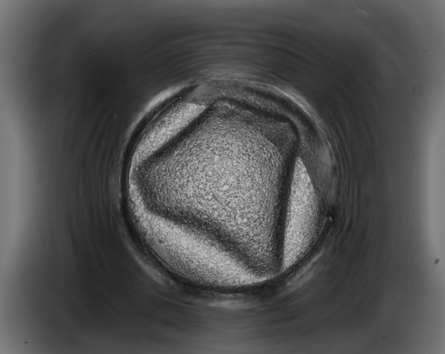 X0000083580438200703021820