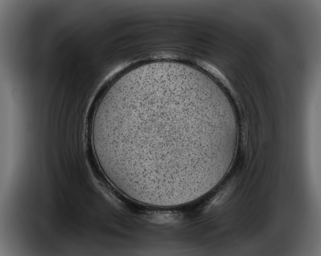 X0000083580439200703021820