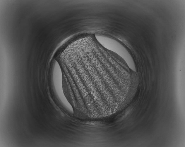 X0000083580440200703021820