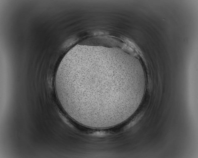 X0000083580441200703021820