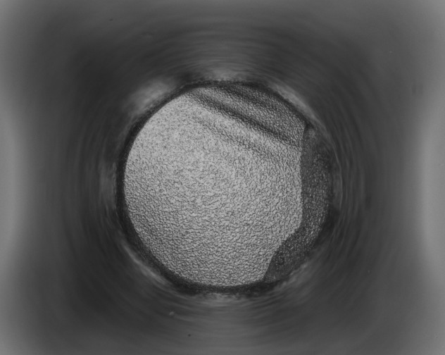 X0000083580442200703021820