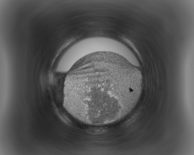 X0000083580443200703021820