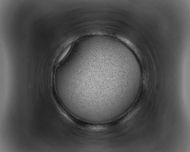 X0000083580445200703021820