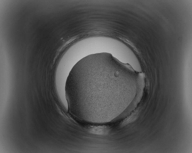 X0000083580446200703021820