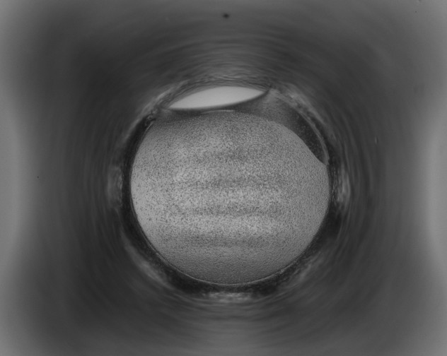 X0000083580448200703021820