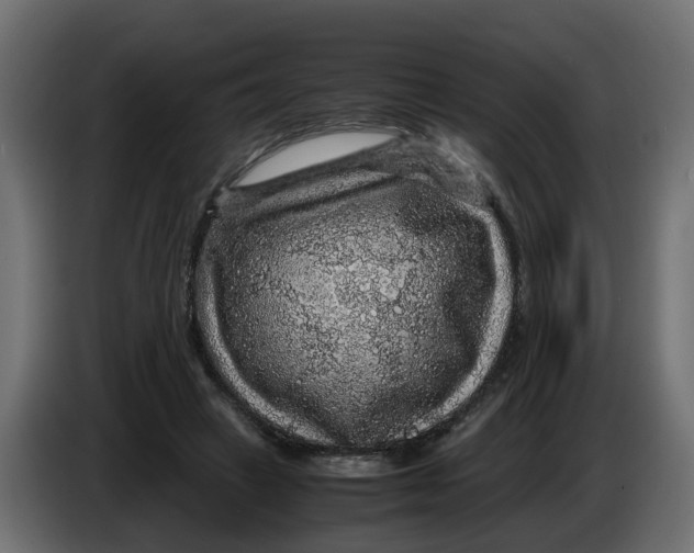 X0000083580449200703021820