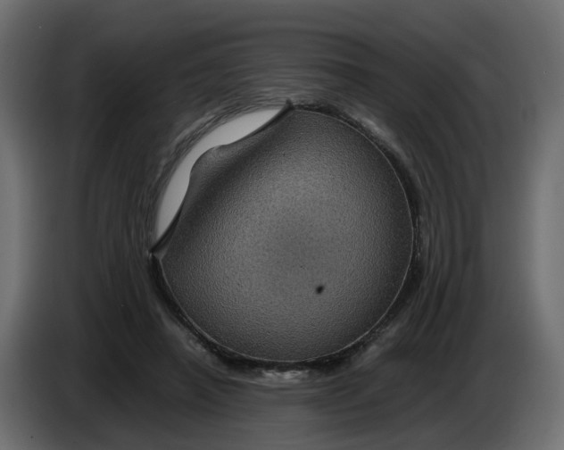 X0000083580450200703021820